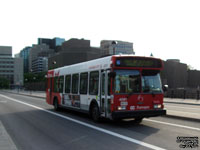 OC Transpo 4081 - 1999 Orion VI