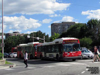 OC Transpo 4309 - 2005 New Flyer D40i Invero