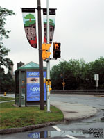 A typical OC Transpo bus stop and sign