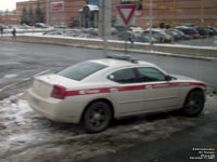 OC Transpo supervisor car