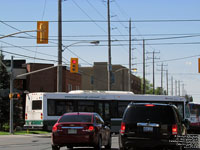 Peterborough Transit 36 - 2008 Nova Bus LFS