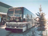 Golden Arrow 254