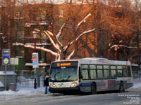 RTC 0429 - 2004 Novabus LFS