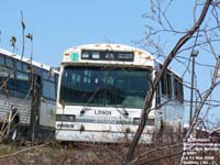 RTC 8901 - 1989 (retired) Grey Line MCI Classic TC40102N