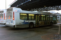 STS 1004 - 2010 Nova Bus LFS