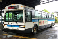 STS 9603 - 1996 Nova Bus Classic TC40-102N