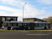 St. Albert Transit 809 - 2001 New Flyer D60LF