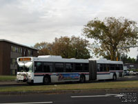 St. Albert Transit 815 - 2006 New Flyer D60LF