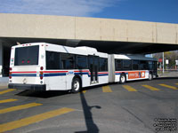 St. Albert Transit 817 - 2006 New Flyer D60LF