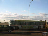 St. Albert Transit 862 - 2005 New Flyer D40LF