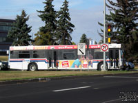 St. Albert Transit 864 - 2005 New Flyer D40LF