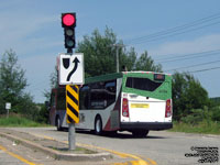 Saint John Transit 43764 - 2007 Orion 07.501 NG