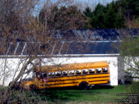 School bus