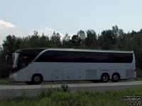 Setra S417