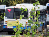 CMTS / STS 49104 - Old CMTS paint scheme with new STS logo added on later. (1999 Novabus LFS)