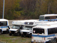 STS 54302 and 56301 (2004 and 2006 Ford Para-transit buses)