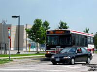 Toronto Transit Commission - TTC 7911 - 2006 Orion VII Low Floor