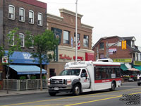 Toronto Transit Commission Wheel-Trans - TTC W175 - 2009-2010 Ford/Dallas Smith/StarTrans F-450/The Friendly Bus