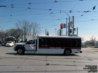 Toronto Transit Commission Wheel-Trans - TTC W209 - 2009-2010 Ford/Dallas Smith/StarTrans F-450/The Friendly Bus