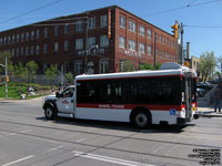 Toronto Transit Commission Wheel-Trans - TTC W210 - 2011-2012 Ford/Dallas Smith/StarTrans F-450/The Friendly Bus