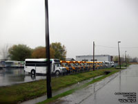 Transbus