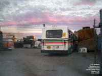 Autobus Dupont (ex-Alemeda Contra Costa Transit / AC Transit 1812)