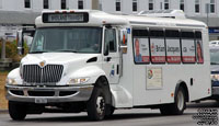 Midland Transit 66