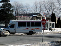 Socit de transport de Trois-Rivieres - STTR 1031 - 2003 Ford / Girardin - Transport adapt