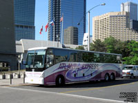 Atlantic Express 675 - 2008 Van Hool C2045