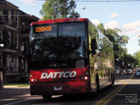 Dattco 75142 - 2011 Van Hool C2045L