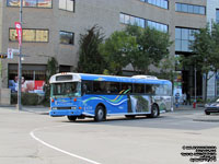 Tours du Vieux-Qubec 40 - 2008 Blue Bird TC3000