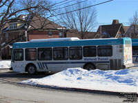 Welland Transit 1144 - 2009 ElDorado E-Z Rider II MAX 35 ft