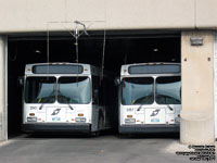 Winnipeg Transit 250 - 2005 New Flyer D40LF and 587 - 2003 New Flyer D40LF