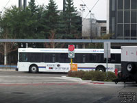 Winnipeg Transit 485 - 1999 New Flyer D40LF