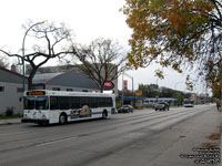 Winnipeg Transit 597 - 2003 New Flyer D40LF