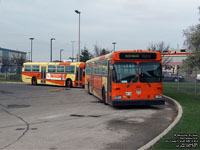 Winnipeg Transit 852 - 1990 New Flyer D40 and 814 - 1989 New Flyer D40