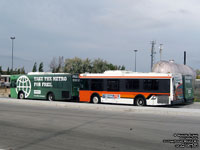 Winnipeg Transit 946 and 942 - 2001 New Flyer D30LF