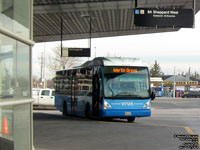 Viva - Van Hool AG300