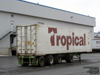 Tropical - TTRU 581678(8)