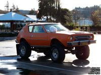 AMC Gremlin