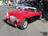 Austin-Healey 100