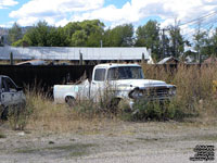 Dodge D100