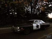 Dodge Monaco