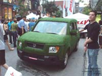 Honda Element - Astroturf