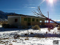 Nevada Roadside Relics