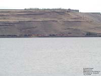 A BNSF train in the Columbia River Gorge,WA/OR