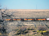 BNSF Railway in Holbrook,AZ