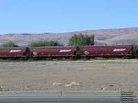 BNSF Railway - BNSF 481000 serie - new logo