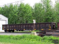 Canadian National (Illinois Central) - IC 295894