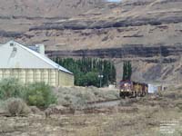 CEFX 101 (SD90MAC) leads an UP train.